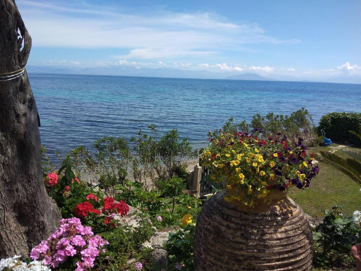 Studio Nausica... A Sense Of Paradise! Agia Pelagia Chlomou エクステリア 写真