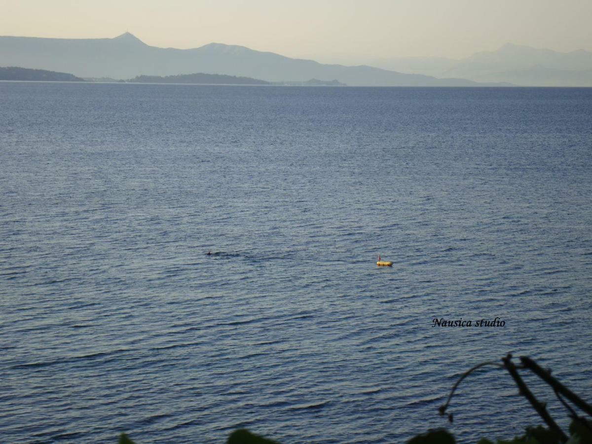 Studio Nausica... A Sense Of Paradise! Agia Pelagia Chlomou エクステリア 写真