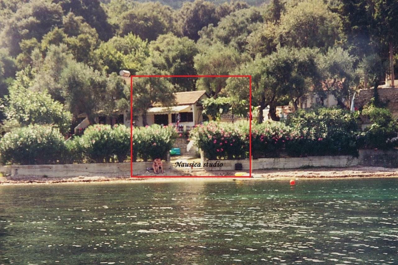 Studio Nausica... A Sense Of Paradise! Agia Pelagia Chlomou エクステリア 写真