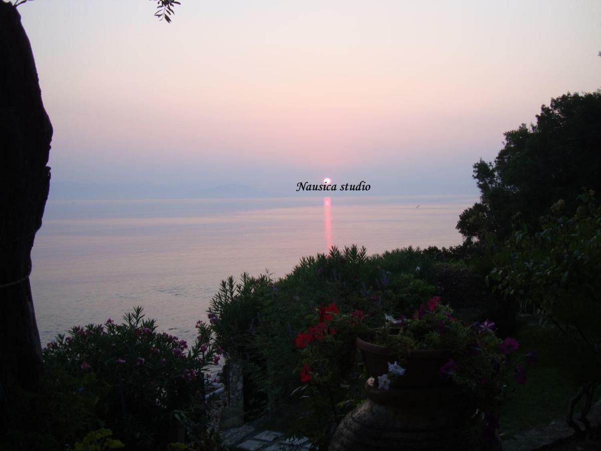 Studio Nausica... A Sense Of Paradise! Agia Pelagia Chlomou エクステリア 写真