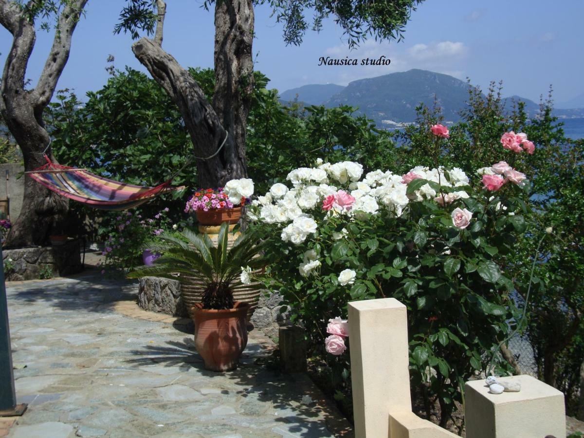 Studio Nausica... A Sense Of Paradise! Agia Pelagia Chlomou エクステリア 写真