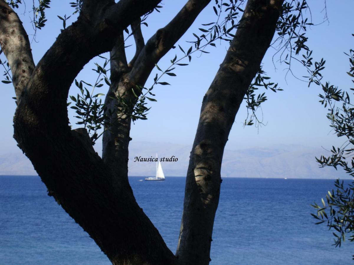 Studio Nausica... A Sense Of Paradise! Agia Pelagia Chlomou エクステリア 写真