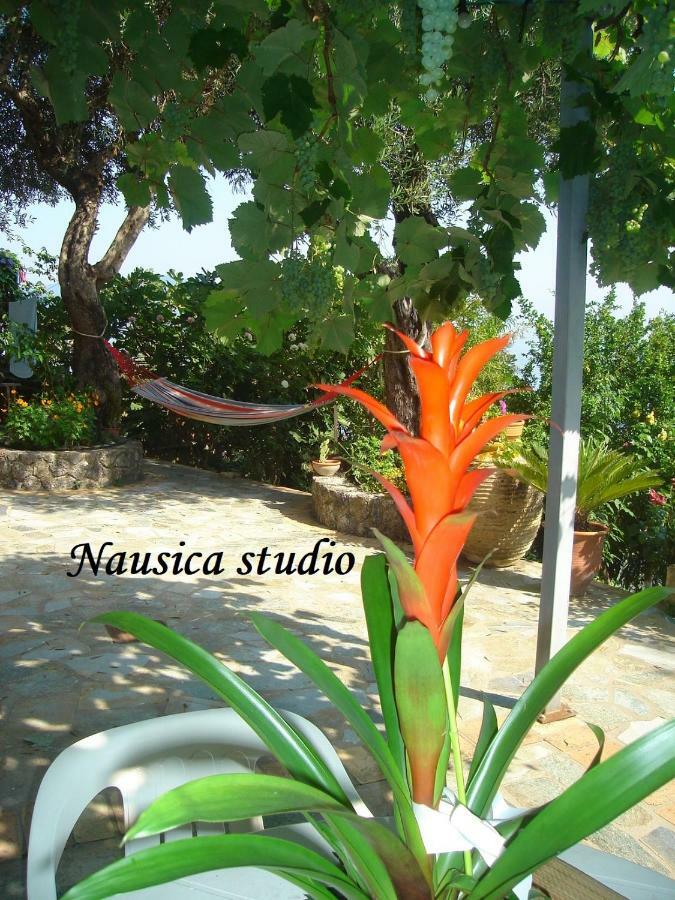 Studio Nausica... A Sense Of Paradise! Agia Pelagia Chlomou エクステリア 写真