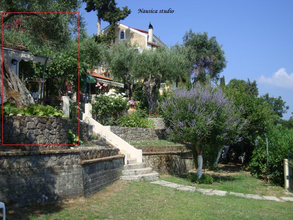 Studio Nausica... A Sense Of Paradise! Agia Pelagia Chlomou エクステリア 写真