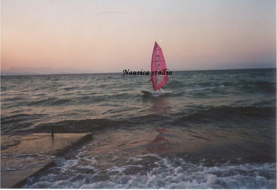 Studio Nausica... A Sense Of Paradise! Agia Pelagia Chlomou エクステリア 写真