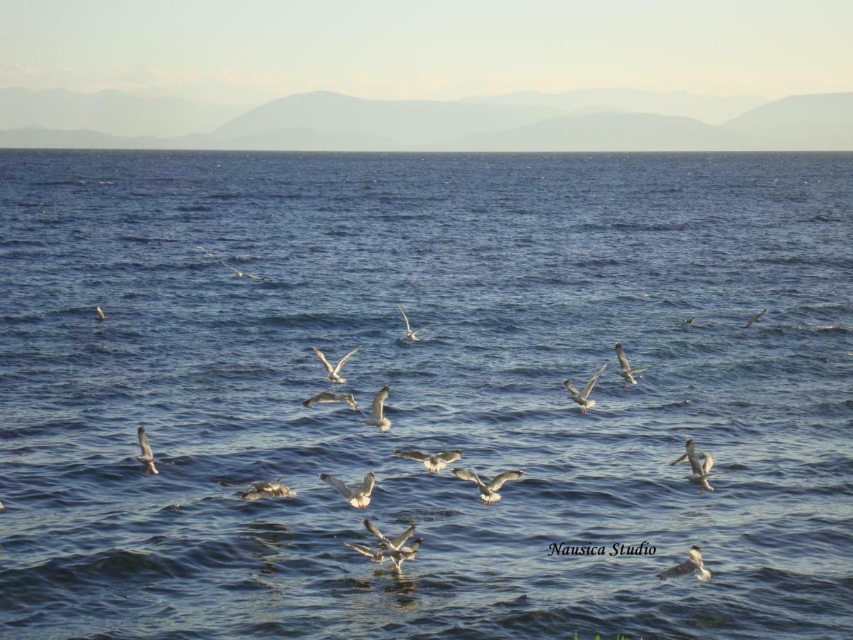 Studio Nausica... A Sense Of Paradise! Agia Pelagia Chlomou エクステリア 写真