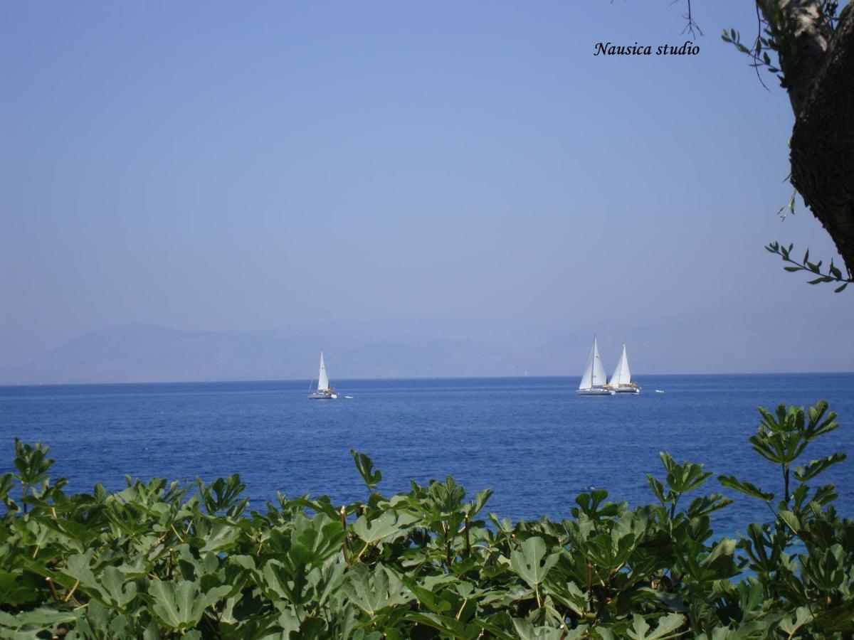 Studio Nausica... A Sense Of Paradise! Agia Pelagia Chlomou エクステリア 写真
