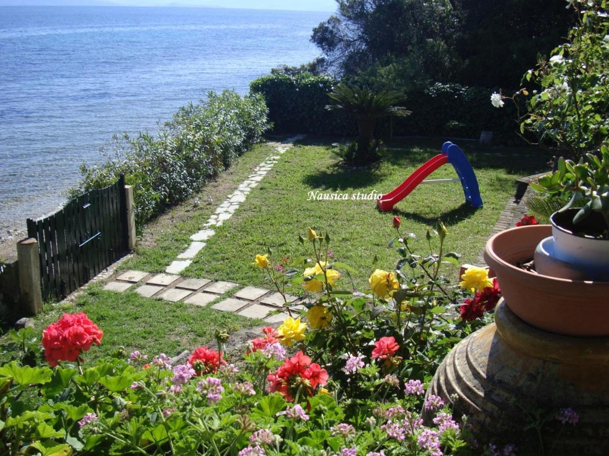 Studio Nausica... A Sense Of Paradise! Agia Pelagia Chlomou エクステリア 写真